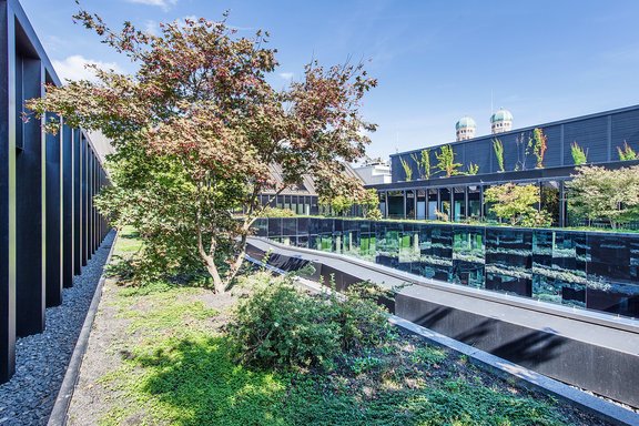 Atrium Garden