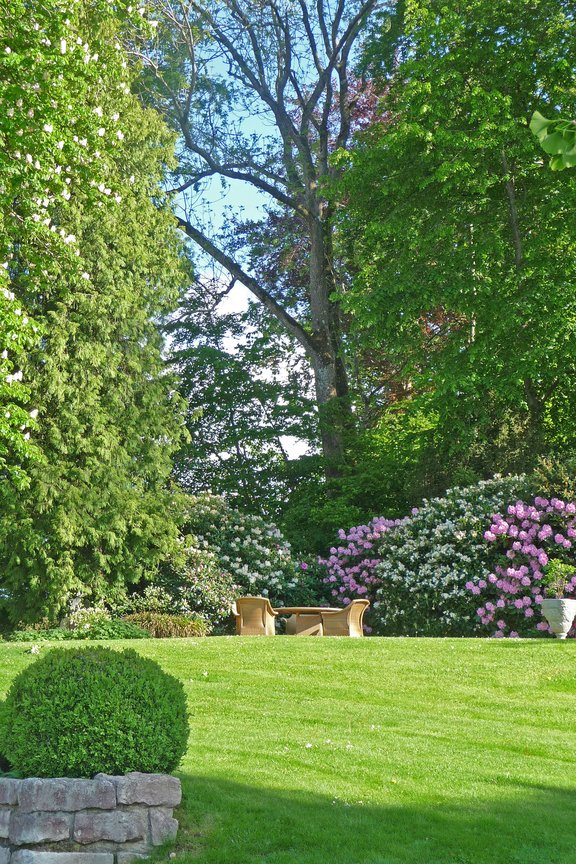 Property with old tree population