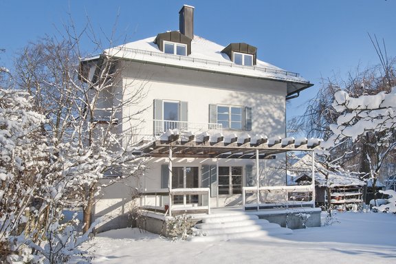 View from the garden