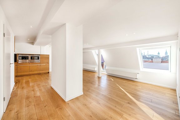 Living area with adjoining cooking area