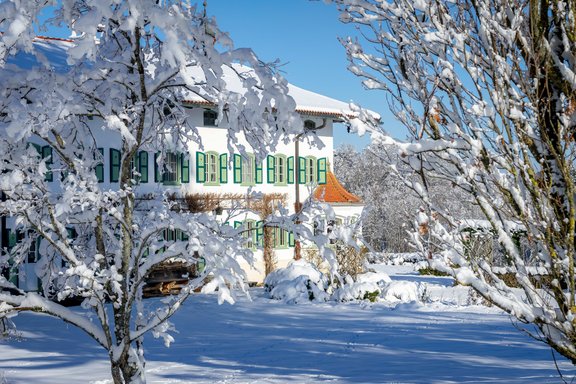 Terrace view main house
