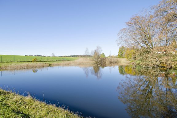 Own fish pond