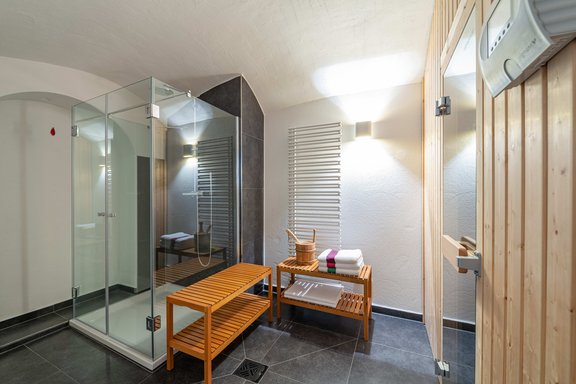 Wellness area with sauna