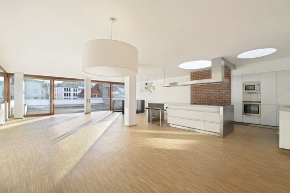 Loft-like attic with skylights (unit 1)