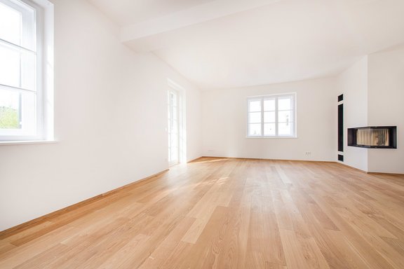 Living room with fireplace