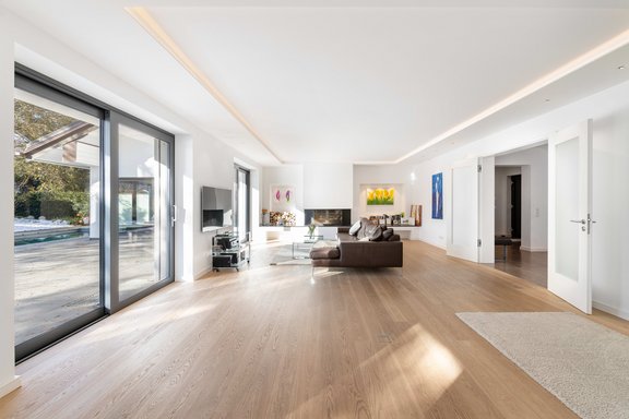 Living with fireplace