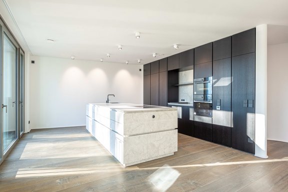 Luxury carpenter kitchen