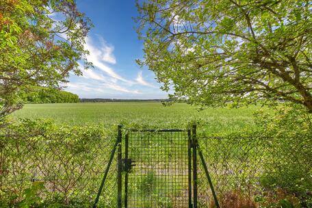 Unobstructed views of the countryside: A single-family home with a granny flat and a garden
