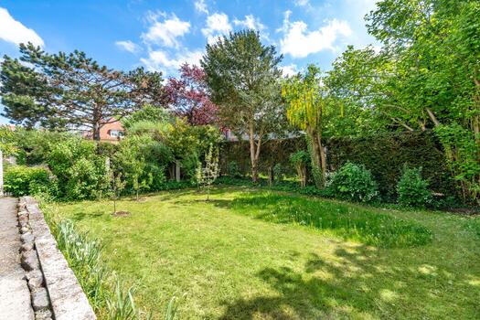 Sunny south-facing garden
