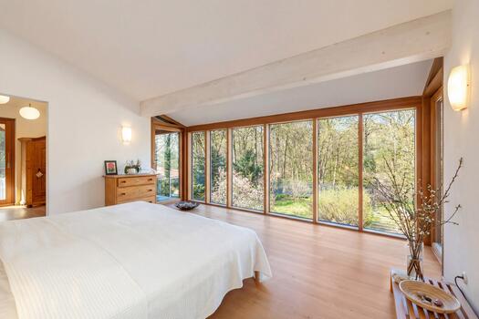 Master suite with walk-in closet