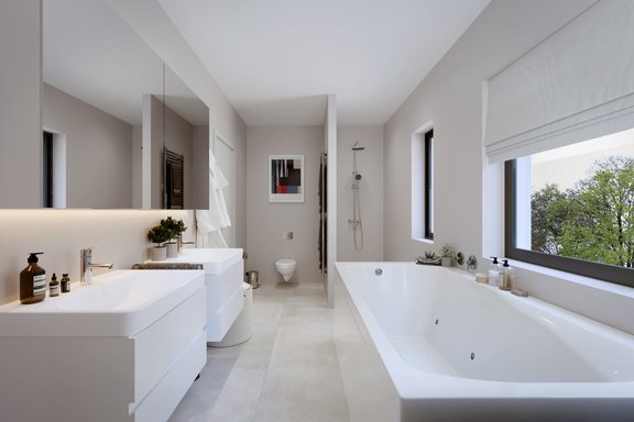 Visualization bathroom