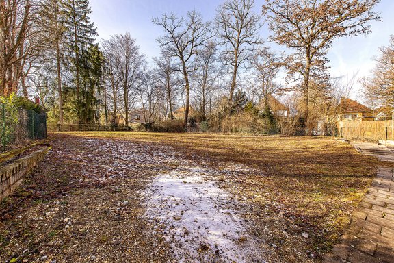 Splendid tree population of the neighbouring gardens