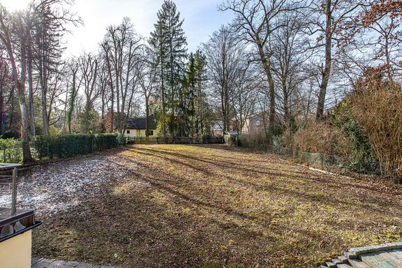 View into the garden
