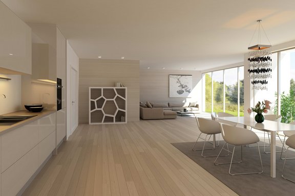 Open kitchen with living / dining area