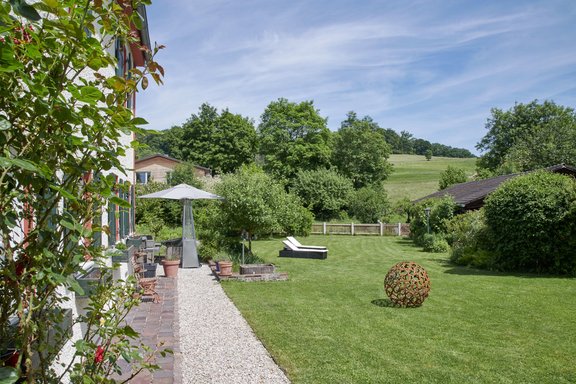 View into the nature