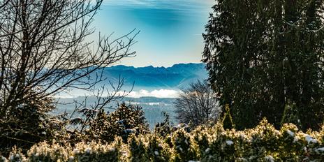 Quiet country idyll: Spacious villa with high-quality furnishings and dreamlike garden