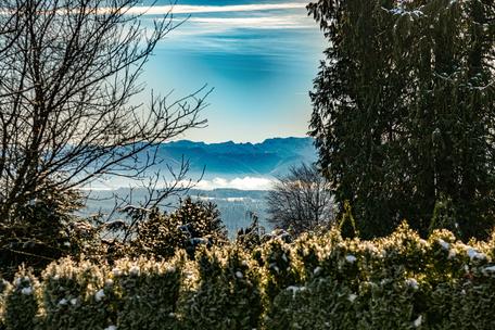 Quiet country idyll: Spacious villa with high-quality furnishings and dreamlike garden