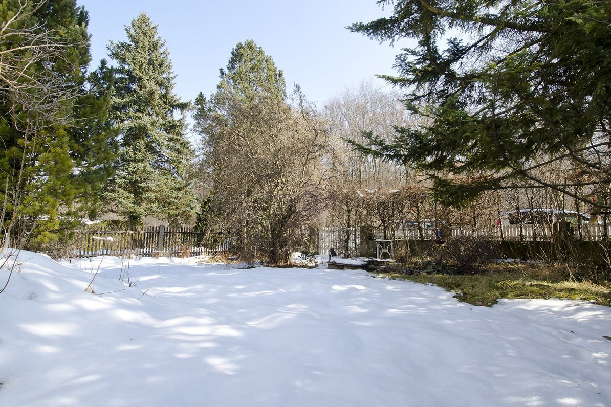 Property with view into the green