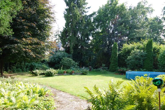 View into the garden