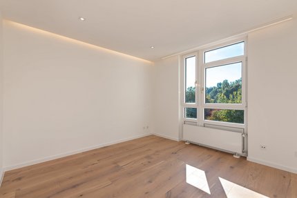 Ideal work/guest room