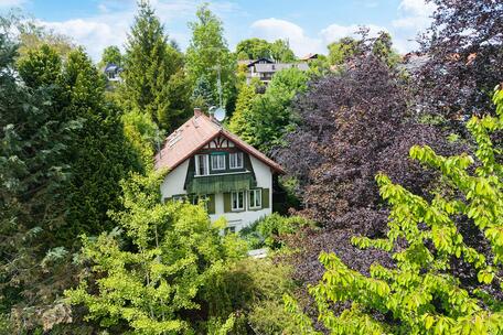 Large lot with a single-family home in an exclusive hillside location near Lake Pilsen—new construction permitted
