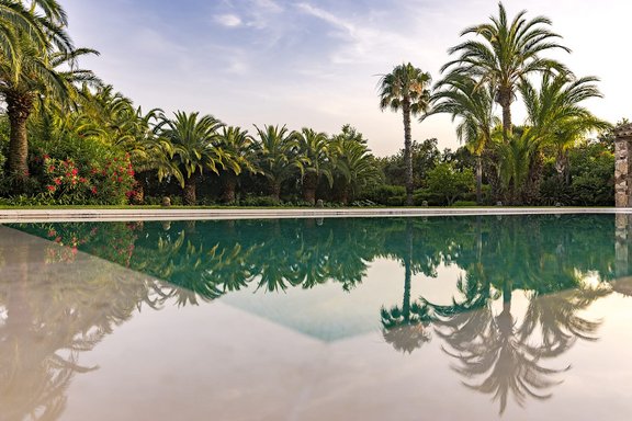 Pool with tropical backdrop