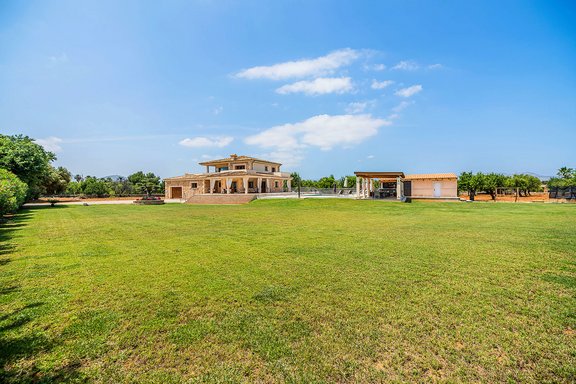 House view from the garden